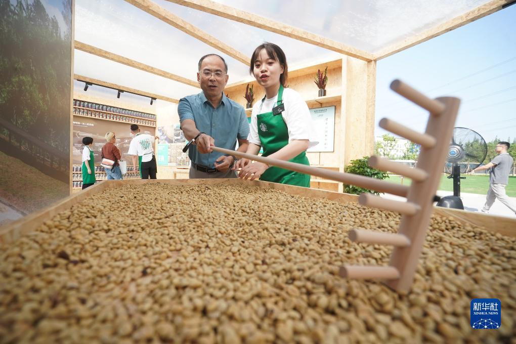 菠菜导航网推导航